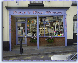 Tracy's Tiny Homes : Specialising in 1/12th and 1/24th dolls house products